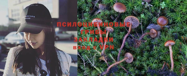 мет Медвежьегорск
