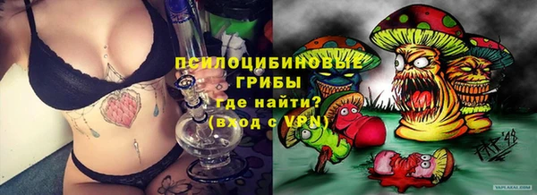mdpv Михайлов